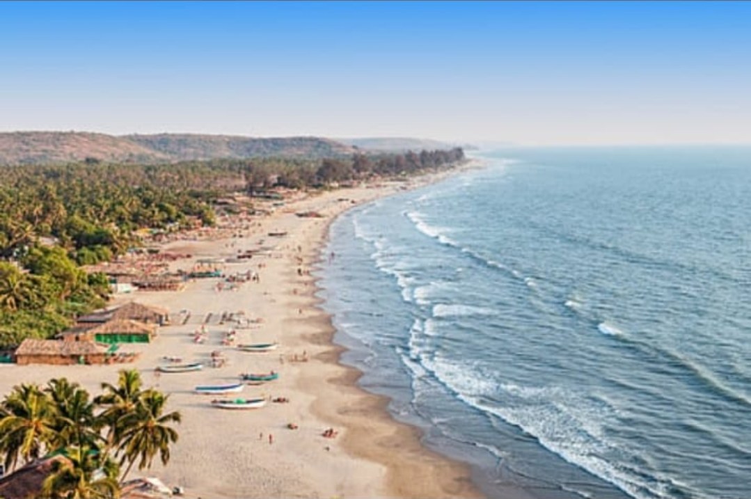 Aerial view of Goa beach